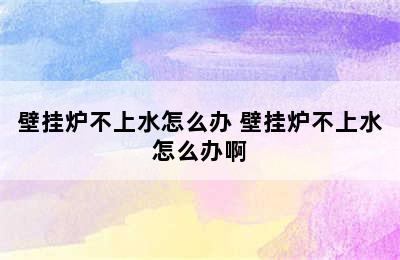 壁挂炉不上水怎么办 壁挂炉不上水怎么办啊